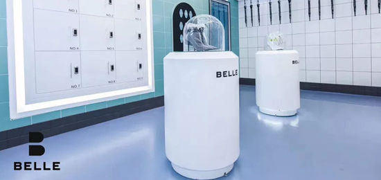 BELLE-知名女鞋品牌LOGO設(shè)計(jì)及品牌形象升級