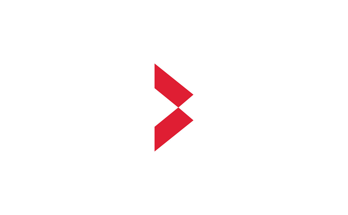 Wyd 集團(tuán)品牌LOGO
